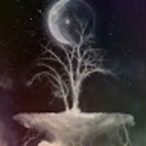 Meet your Posher, Night